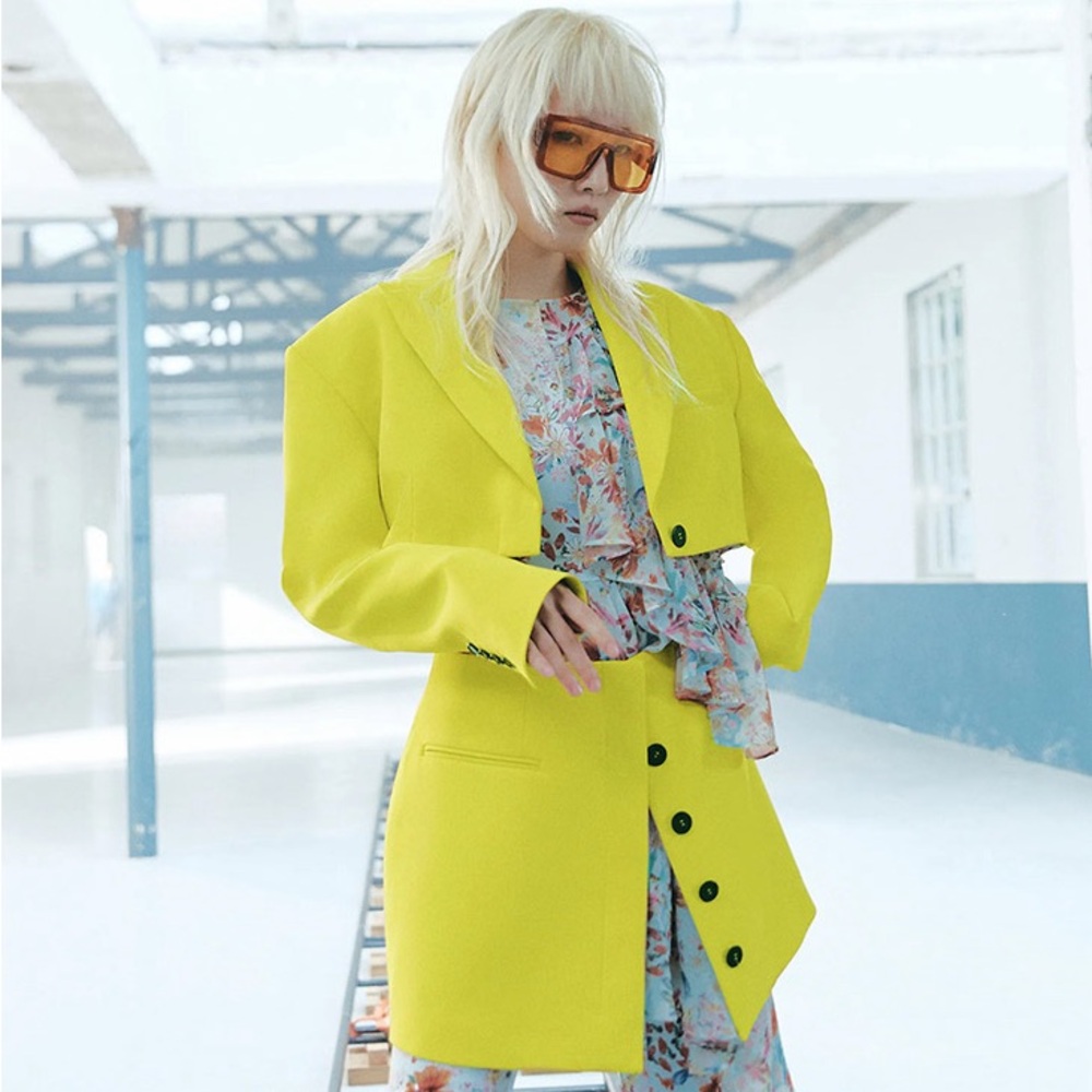 BNWT Zara x Purple Magazine Blazer Dress Sz S